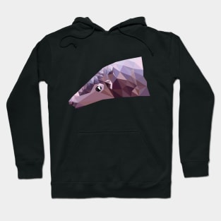 Sunda Pangolin Hoodie